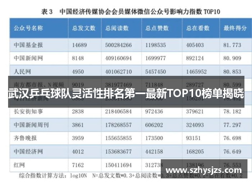 武汉乒乓球队灵活性排名第一最新TOP10榜单揭晓