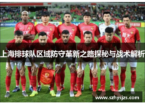 上海排球队区域防守革新之路探秘与战术解析