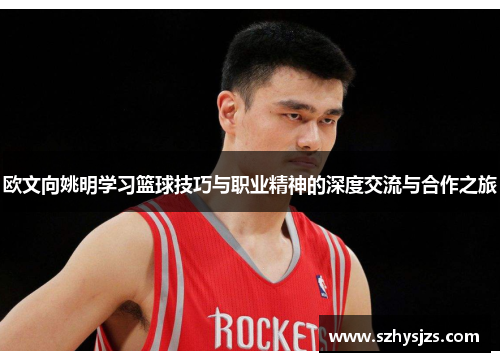 欧文向姚明学习篮球技巧与职业精神的深度交流与合作之旅
